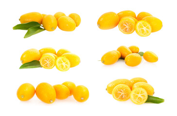 collection of kumquats  isolated on white background