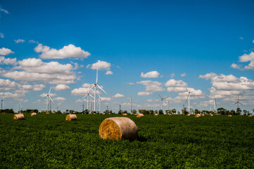 El campo con tonalidades verdes