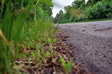 on the edge of an asphalt road on a cloudy day