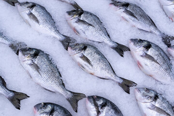 Dorado fish on ice at supermarket for sale.