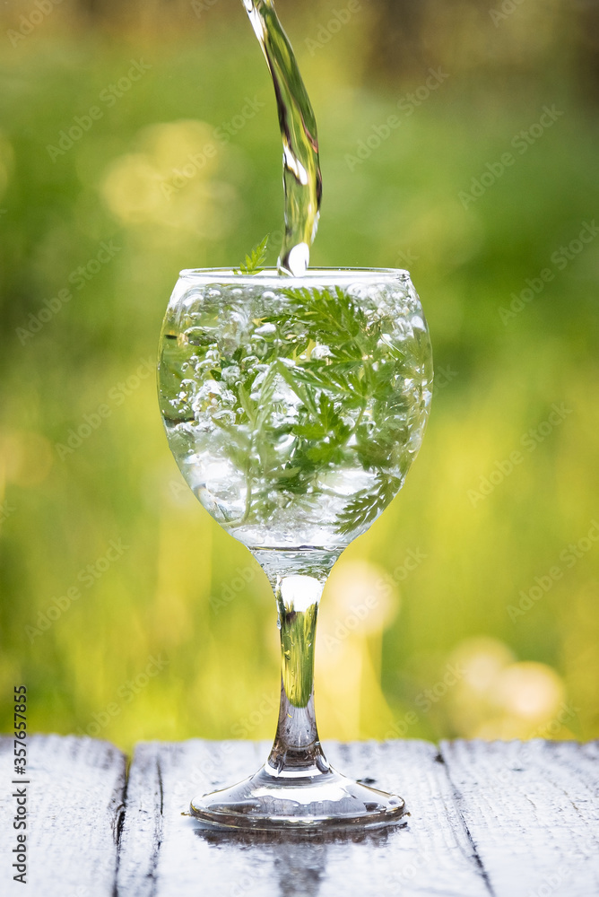 Wall mural refreshing cocktail in the hot summer on a background of green greenery.