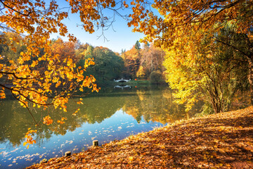 Fototapeta na wymiar A pond in autumn Tsaritsyno park in Moscow