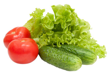 tomatoes cucumbers and lettuce isolated on white background