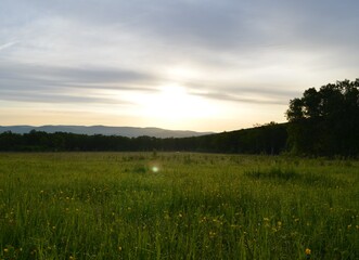 Obraz premium Nature