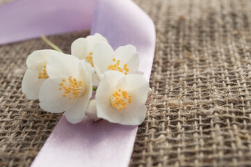 Fototapeta na wymiar jasmin flower on stylish cloth with a ribbon