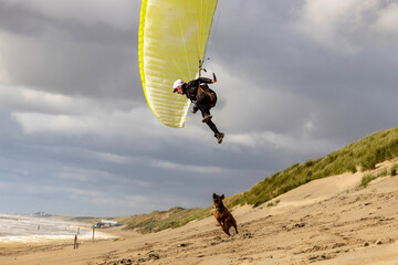 woman flying the paraglider and playing with the dog in Netherlands