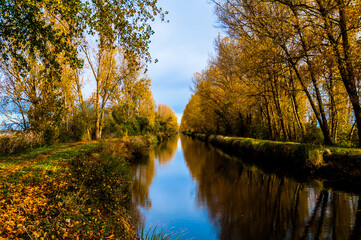 Otoño en el Canal de Castilla.
