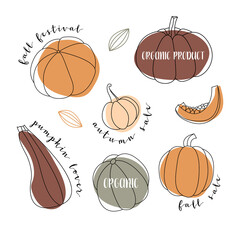 Pumpkin, squash, zucchini, marrow. Various shapes and colors. Perfect for autumn decorative design, thanksgiving and halloween invitation, harvest. Vector flat illustration