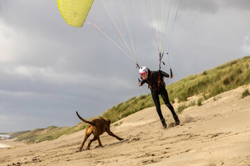 woman flying the paraglider and playing with the dog in Netherlands