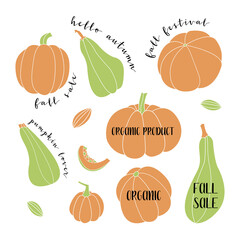 Pumpkin, squash, zucchini, marrow. Various shapes and colors. Perfect for autumn decorative design, thanksgiving and halloween invitation, harvest. Vector flat illustration