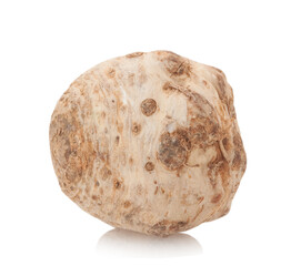 celery isolated on white background