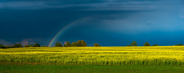 colorful rainbow against the background of a dangerous, stormy sky over a rural landscape-panorama