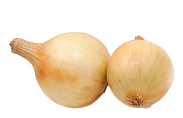 Fototapeta premium onion isolated on white background
