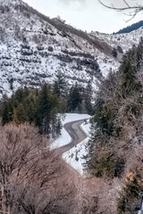 Scenic mountain with winding road amid evergreens and leafless trees in winter