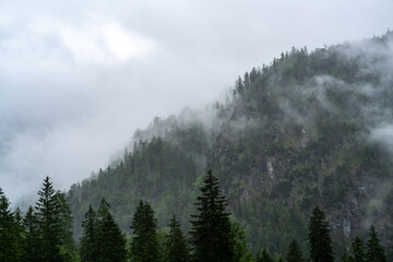 The Alps with fog