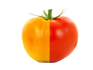 Half ripe and half unripe tomato isolated on white 