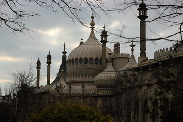 Image shows the Royal Pavilion Brighton/UK from a distance. Its exotic dome structure and towers are highlighted. A cloudy sky in the background and naked tree branches in foreground are seen. 