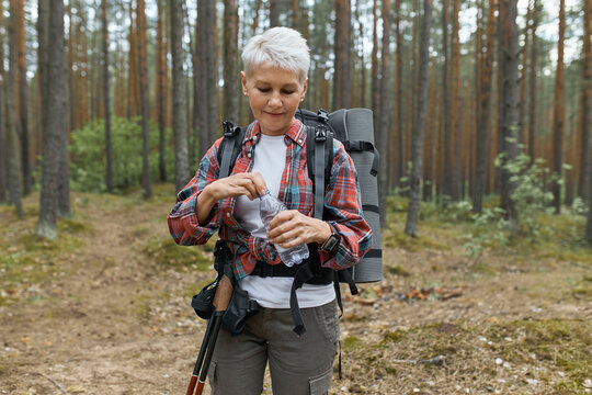 Outdoor shot of active Caucasian middle aged woman carrying backpack opening bottle of water, refreshing herself during long exhausting trekking in national park, standing against pine trees