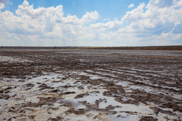 mud earth