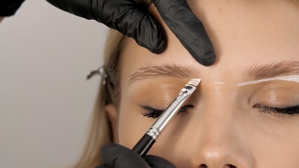 Master applies brow paste with a brush to eyebrows. Beautiful attractive female face of a blonde...