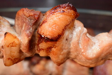 pork kebab meat close up