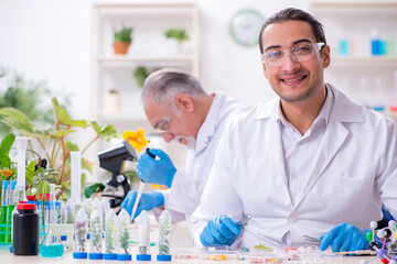 Two chemists working in the lab