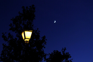 dark blue sky with tree and lamppost lit by moonlight