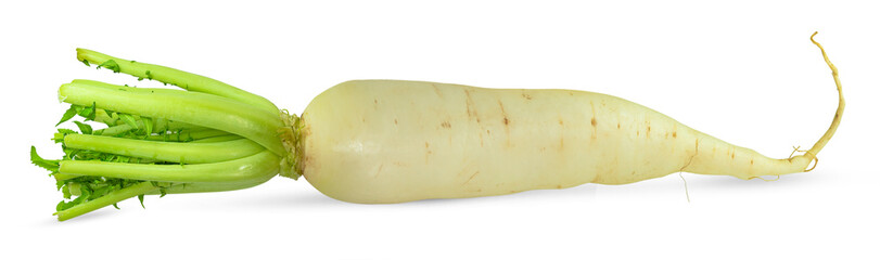 Daikon radishes isolated on white background, clipping path.