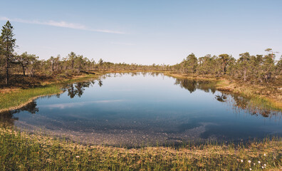 lake in summer 