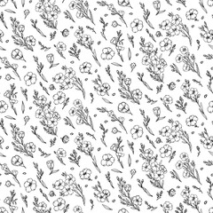 Linen seed and Flax flower on thin stem monochrome hand drawn sketch pattern