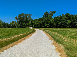 Fototapeta na wymiar forest path in countryside