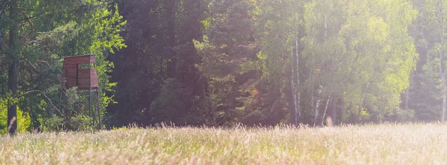 Fotobehang wooden hunting blind on the edge of the forest, near the meadow, sunny day © Roman