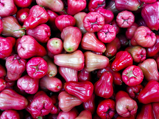 Freshly fruit rose apple fruit or jambu airon display for sale at market