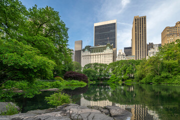 Central Park in spring