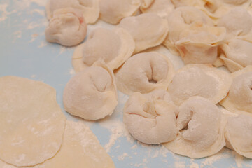 Fototapeta na wymiar Homemade dumplings are put together on a Board in the kitchen