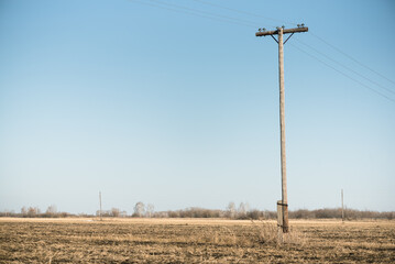 Electric pole of power line  on an agricultural field background.