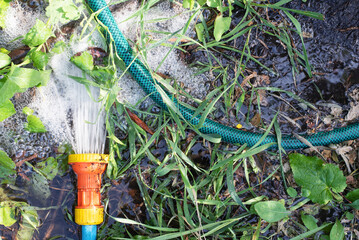 Watering top view. A garden sprayer on a ground.