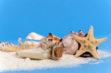 Fototapeta na wymiar Close-up of message bottle with sea stars or starfish and shells on white sand shore. Small treasure island, summer travel, adventure or exploration concept on blue background.