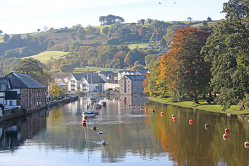 Trees reflected in the River Dart at Totnes	