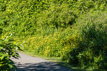 Fototapete bei efototapeten.de bestellen   