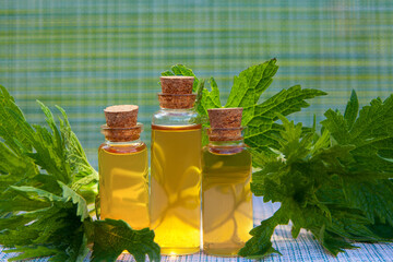 motherwort essential oil in  beautiful bottle on table