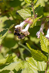 Streifzug duirch das Warmtal in Oberschwaben
