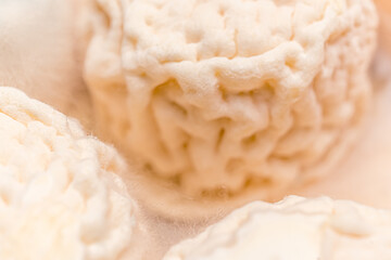 French cheese Goat Croutting. Healthy food. Natural product.