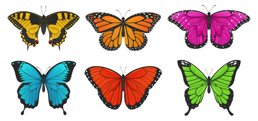 Set of colorful butterflies. Vector illustration.