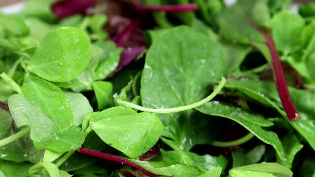Seasoning A Salad With Rock Salt Or Sea Salt 