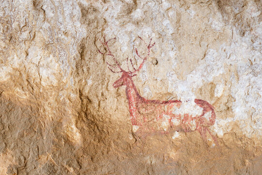 Cave painting of a deer