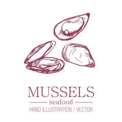 Mussels on an isolated background of a hand-drawn illustration. Malus is produced by hatch lines. Vintage style. The inhabitants of the sea. Package design. Vector.