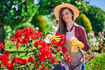 Portrait of attractive happy smiling woman gardener in straw hat, apron and yellow rubber gloves...