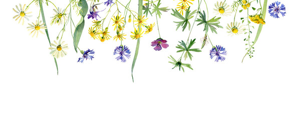 Obraz na płótnie Canvas Composition of watercolor cornflowers, daisies and other wild flowers on a white background 