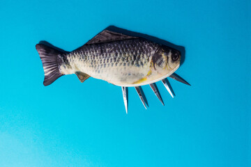 Dead fish. Fish with sticking scissors from the abdomen. Dead fish.